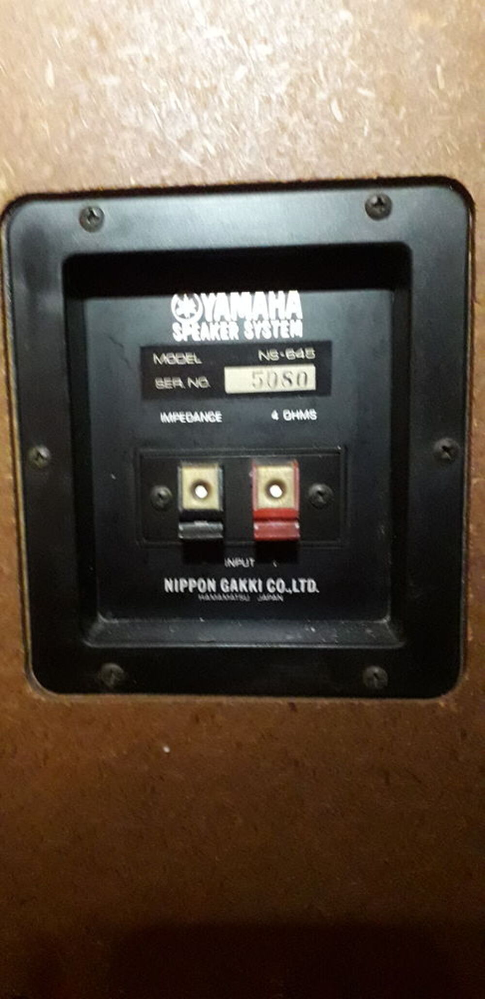 Enceintes Yamaha NS-645 Audio et hifi