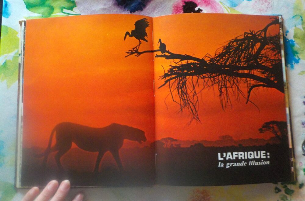 LES ANIMAUX EN PERIL par F. de la Grange Ed. Nathan Livres et BD