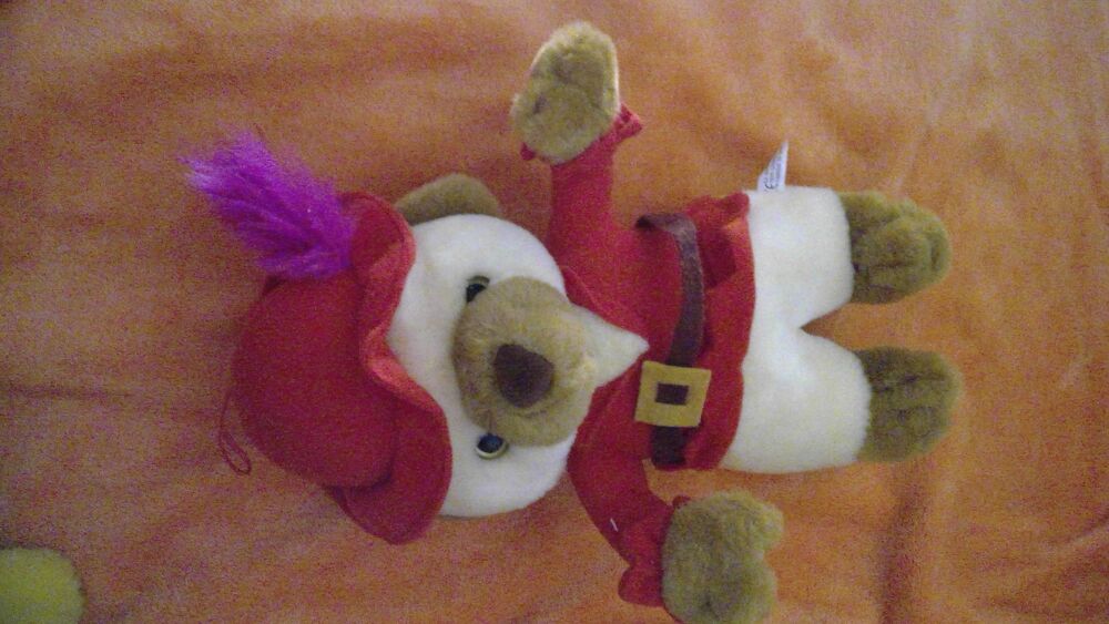 PELUCHE N&deg; 14
OURS ROBIN DES BOIS
Jeux / jouets