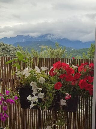  Appartement  vendre 3 pices 54 m