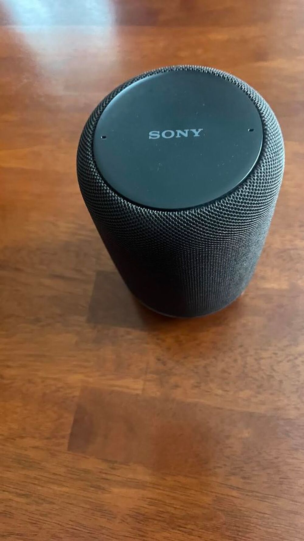 Enceinte Sony connect&eacute;e au son exceptionnel Audio et hifi