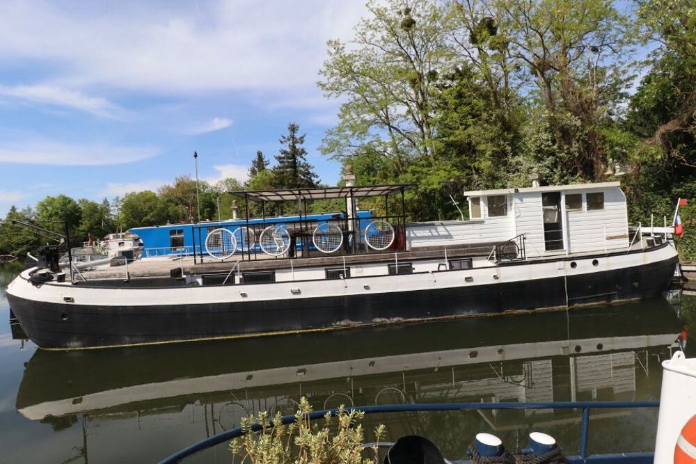 Bateau fluvial 1887 occasion 91200 Athis-Mons