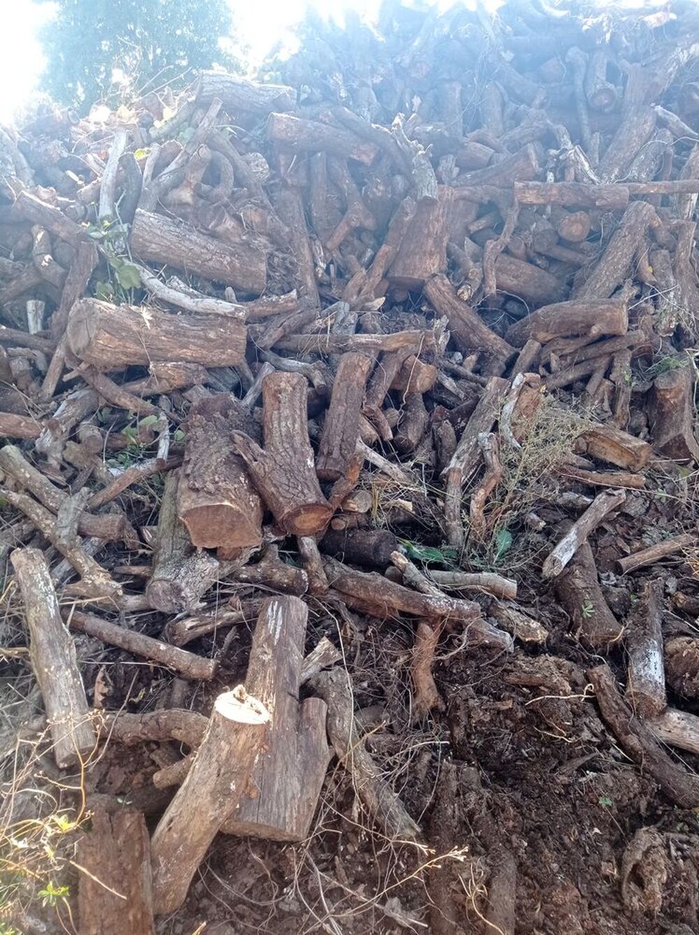 Bois de chauffage Bricolage