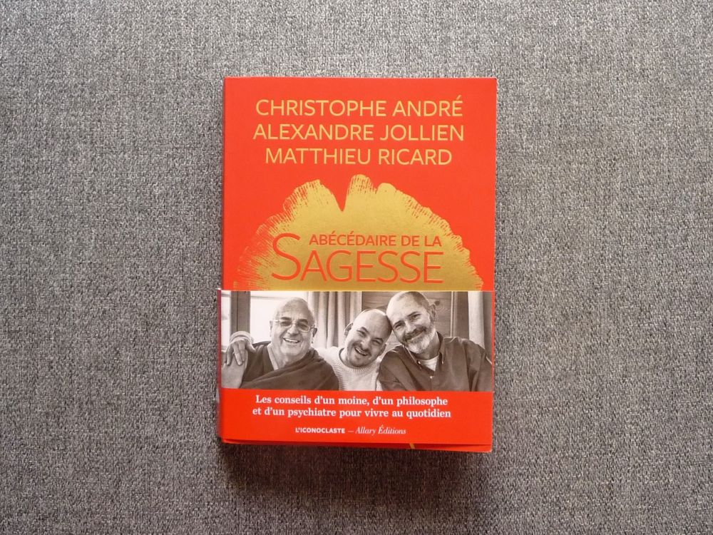 Ab&eacute;c&eacute;daire de la Sagesse-Christophe Andr&eacute;- Matthieu Ricard Livres et BD