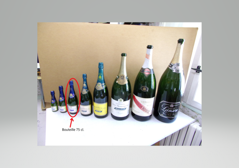 bouteilles de champagne Cize (39)