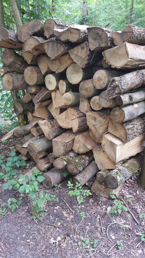 Bois de chauffage 60 Colmar (68)