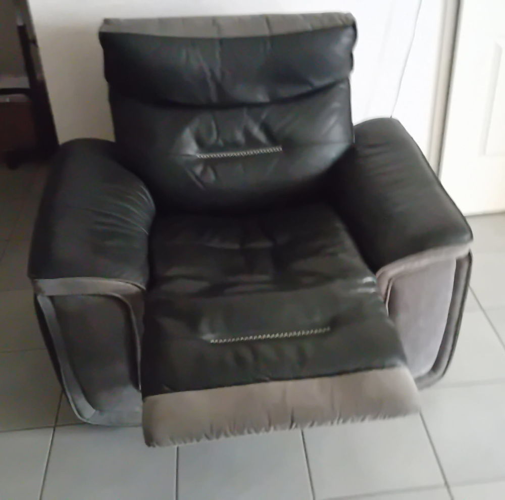Fauteuil &eacute;lectrique relaxant Meubles