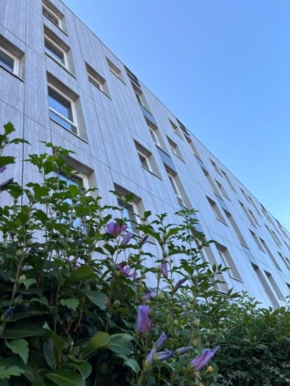 Location Appartement DIRECT PROPRIO  ANZIN
T 1 neuf 2 PARKINGS Anzin
