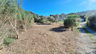  Terrain � vendre 1220 m�