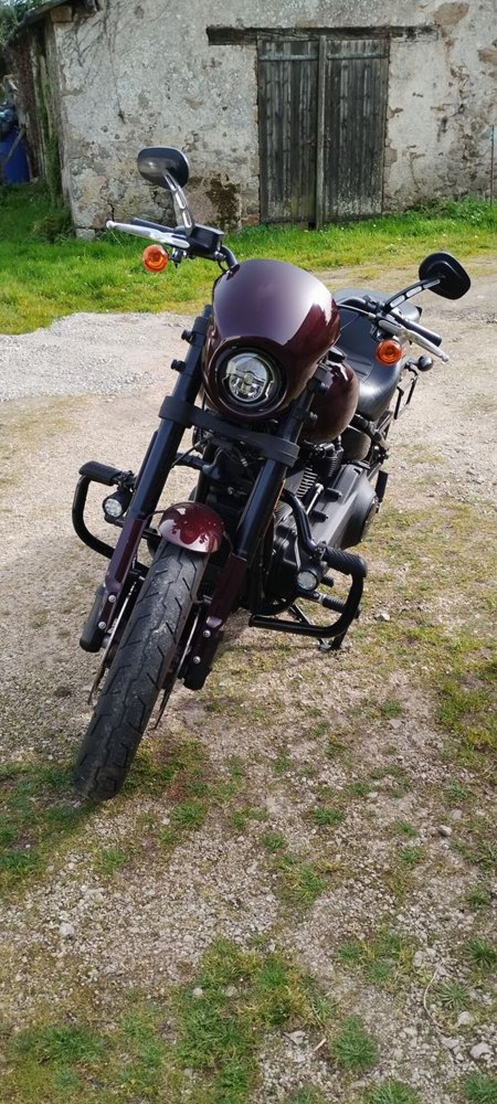 HARLEY-DAVIDSON 2021 occasion 85170 Belleville-sur-Vie
