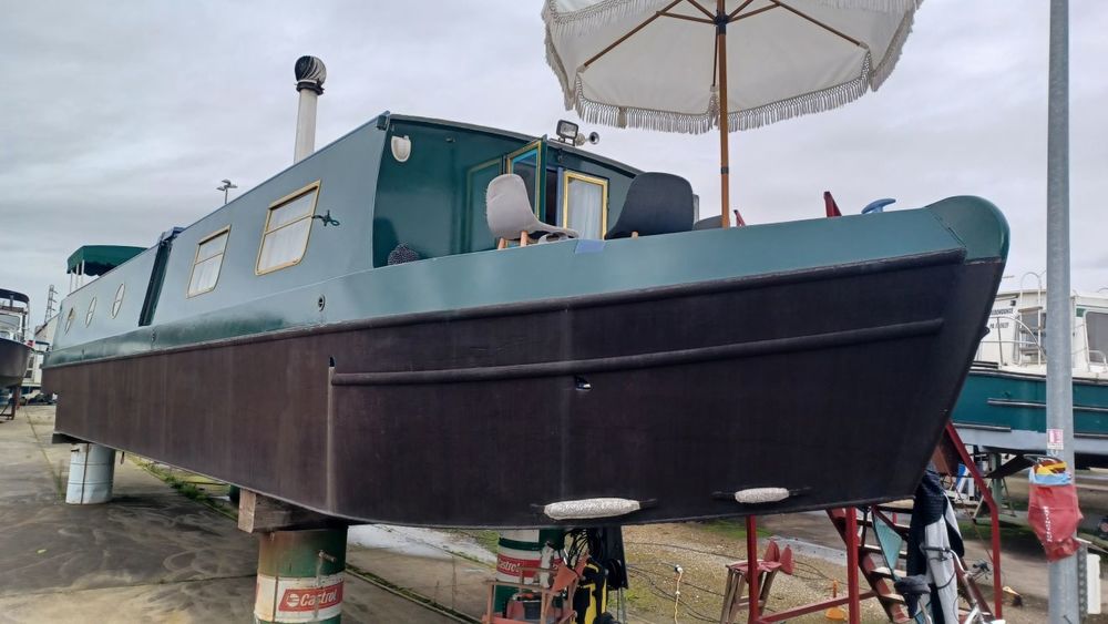 Bateau fluvial 1997 occasion 31000 Toulouse