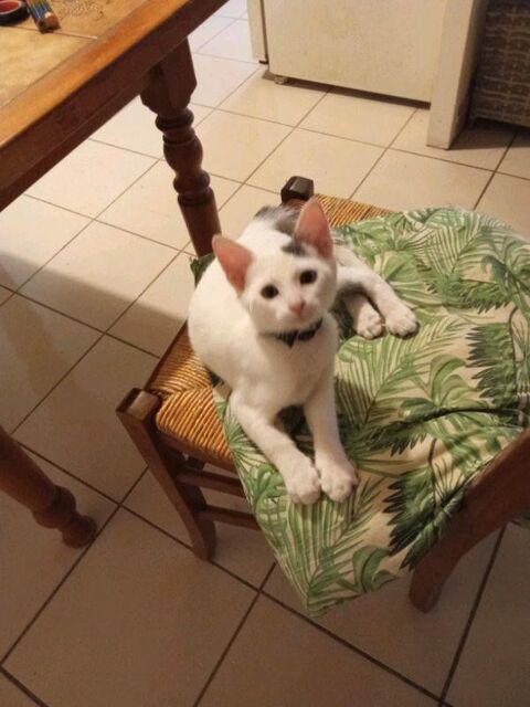 NOUGAT 90 13140 Miramas