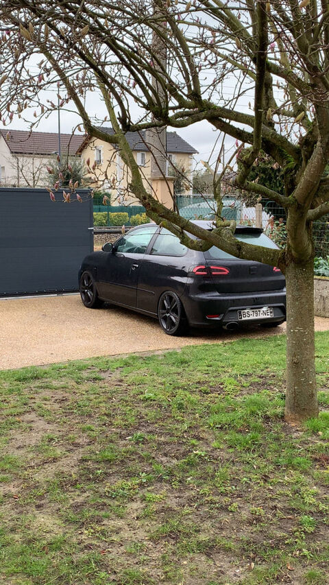 Seat ibiza 6l