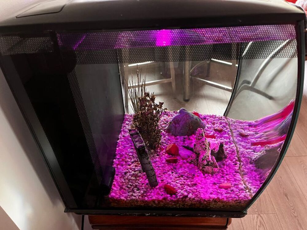 Aquarium 57L FLUVAL Décoration