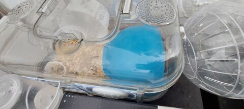 hamster ,  donner toutes les accessoires  Saint-nicolas