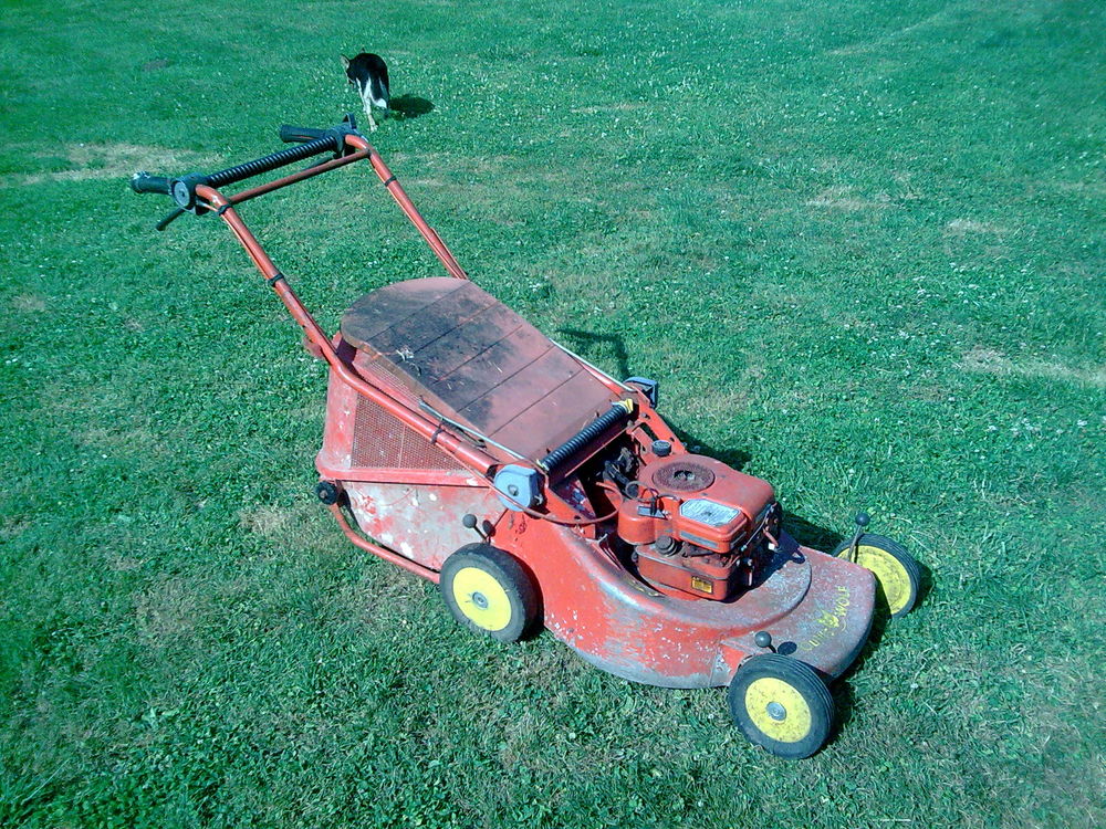 tondeuse thermique tract&eacute;e Jardin