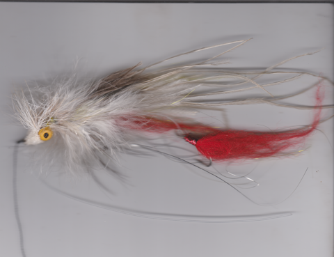 Pas de bredouille avec ce streamer articulé 16 Digne-les-Bains (04)
