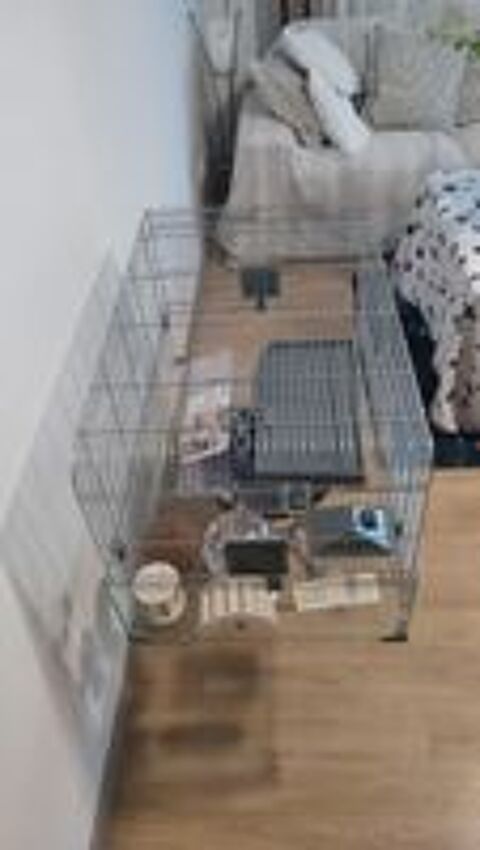   Cage pour hamster+accessoires  