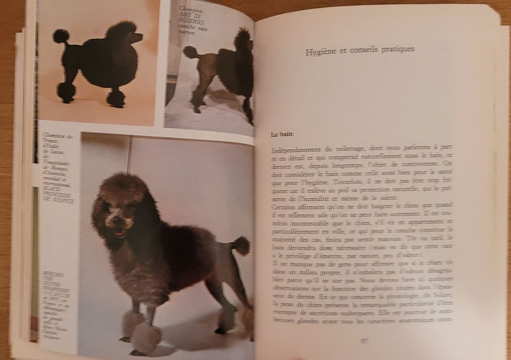 Le caniche : 1 livre sur l'&eacute;ducation et les soins du caniche Livres et BD