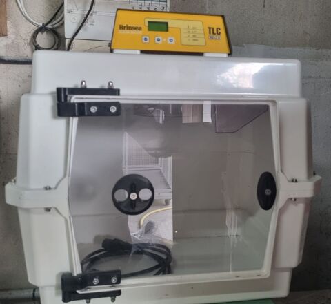 Eleveuse brinsea tlc 40 (oiseaux,perroquets etc) 400 22120 Pommeret