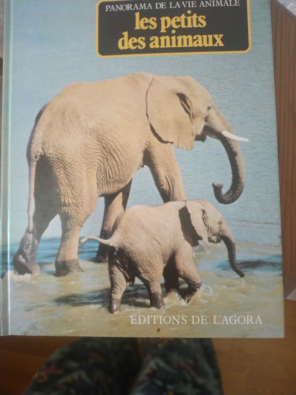 livre animalier Livres et BD