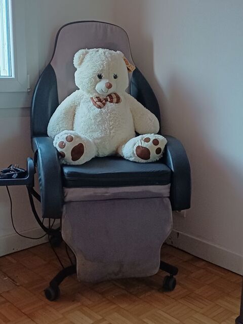 Fauteuil électrique 350 Corbas (69)