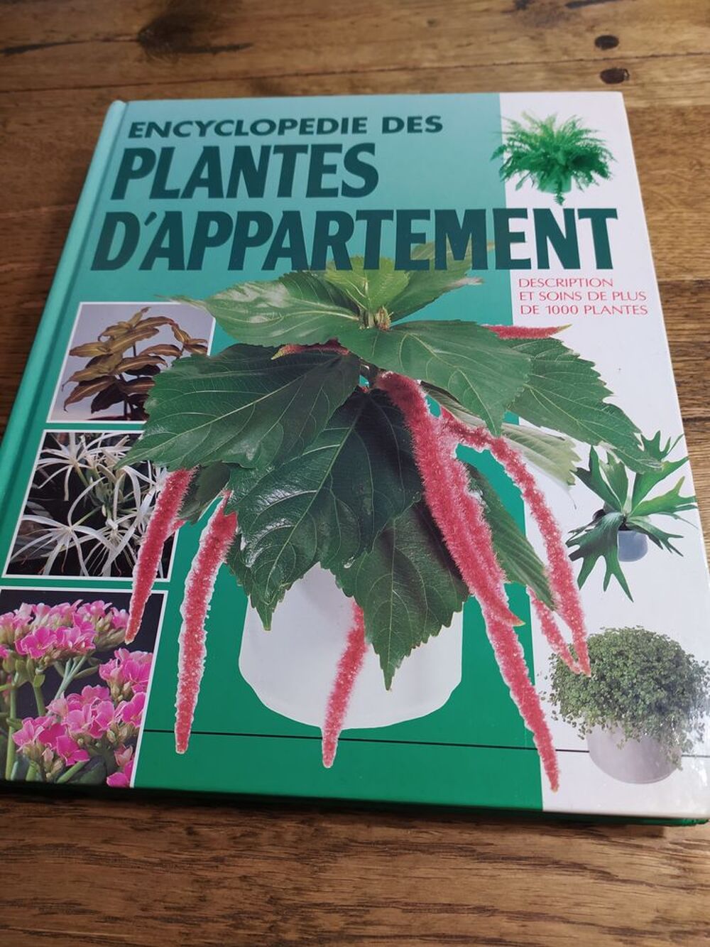 L'encyclop&eacute;die des plantes d'appartement Livres et BD