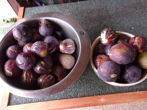 figues mauves fraiches, grosses, parfumées et sucrées. 4 Villars-les-Dombes (01)