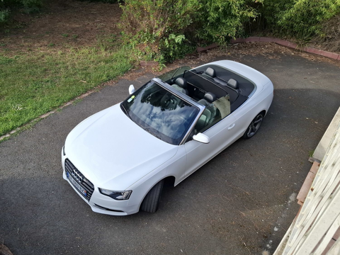 Audi A5 Cabriolet 2.0 TDI 190 Clean Diesel Multitronic 8 A Avus 2016 occasion Pins-Justaret 31860