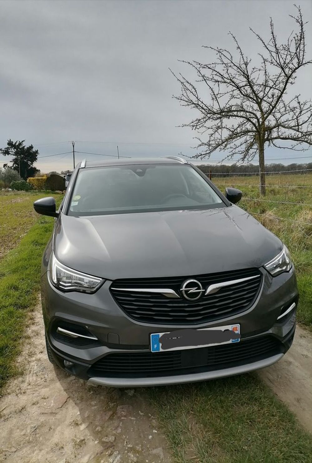 Grandland x Grandland X 1.5 Diesel 130 ch Edition 2021 occasion 27440 Bacqueville
