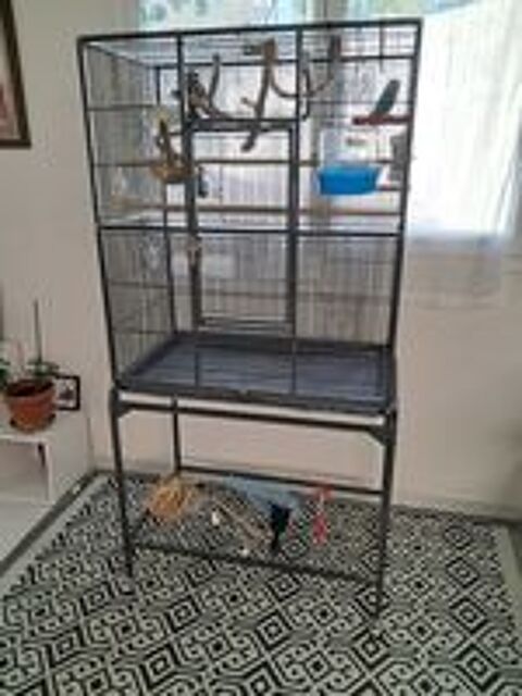   Cage + Oiseau 