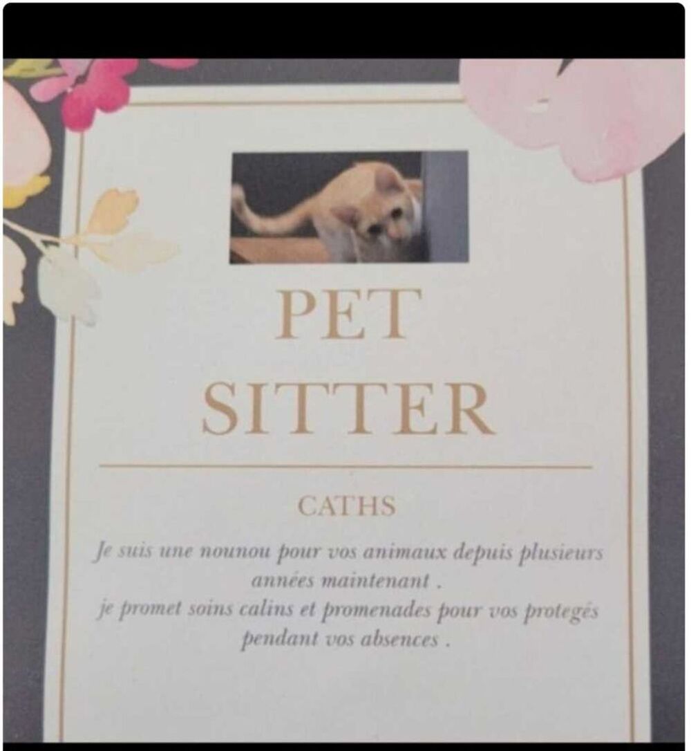   pet Sitter depuis plus de 7 ans 
Ce métier est une passion 
