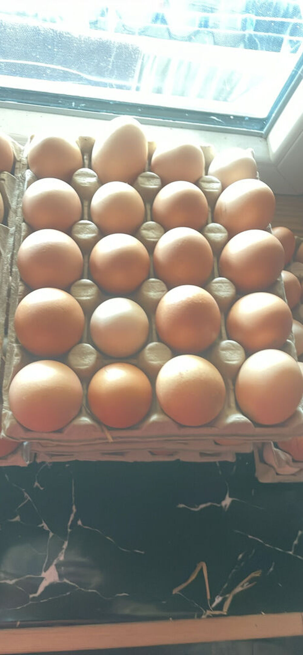   Oeufs de poules  