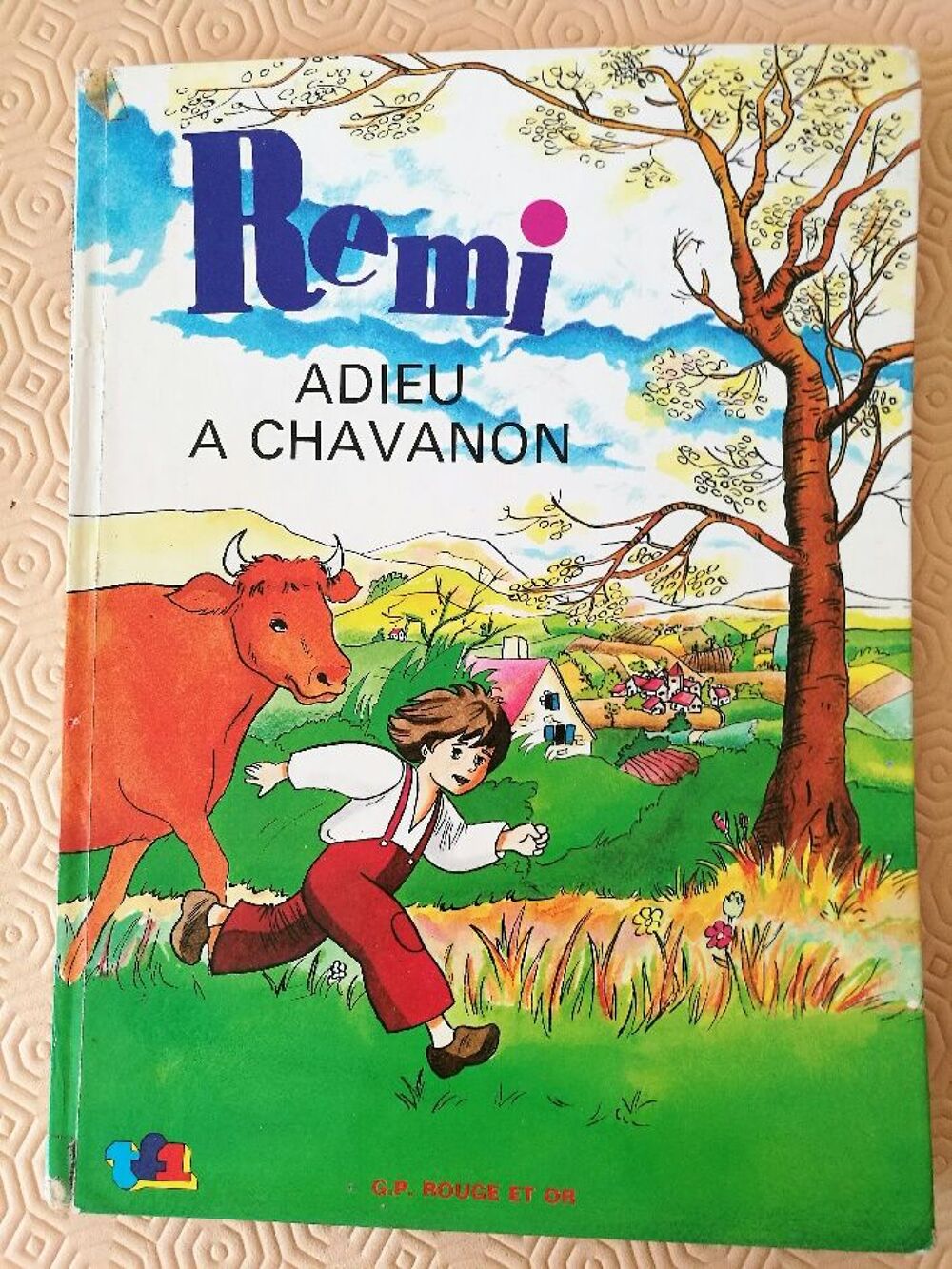 Livre R&eacute;mi adieu &agrave; Chabanon d'Hector Mallot Livres et BD
