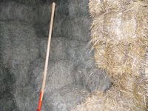   Foin et paille petites balles 
