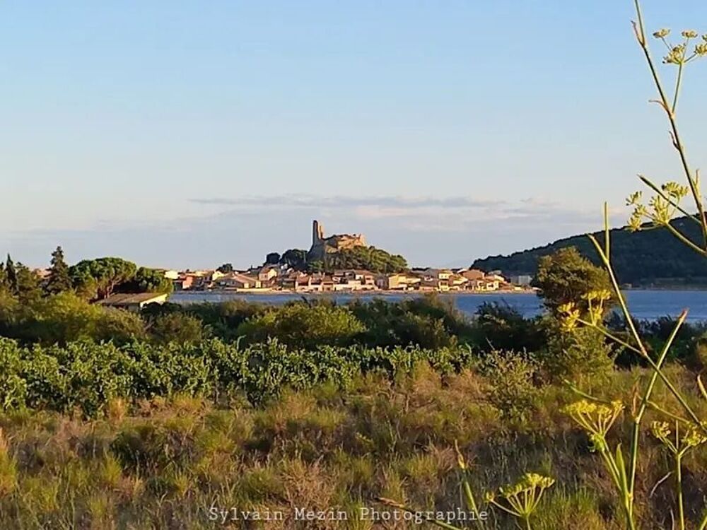 Vente Appartement Beau 2 pièces Gruissan Narbonne