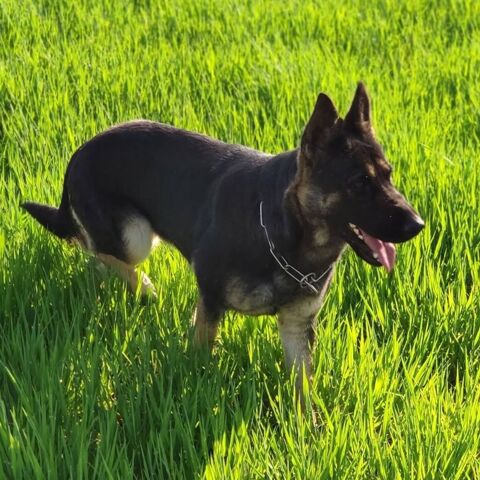 OSIRIS 100 26100 Romans-sur-is�re