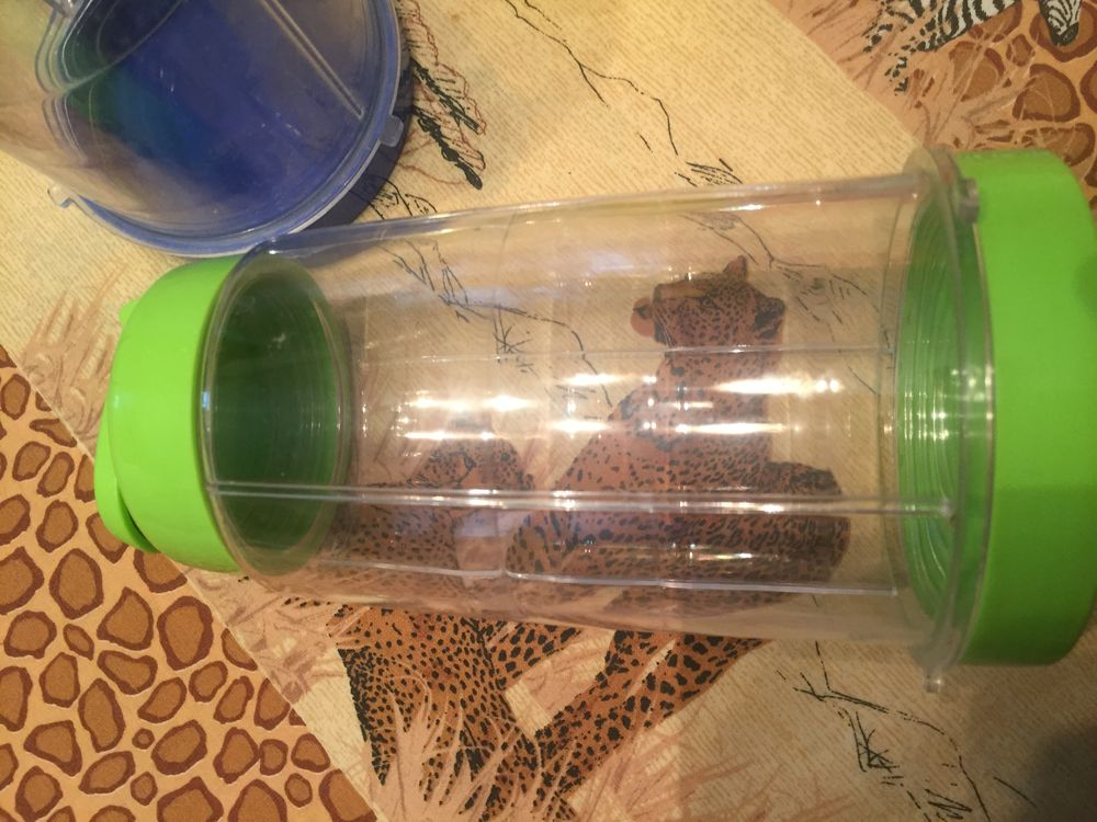 Verres &agrave; Smoothie NEUFS jamais servi Décoration