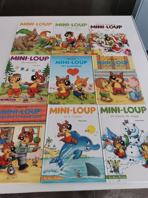 Lot de 24 livres de Mini Loup 37 Orange (84)