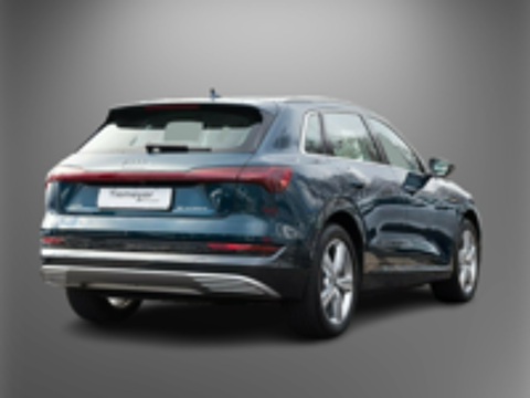 E-TRON e-tron 50 quattro 313 ch 2020 occasion 67100 Strasbourg