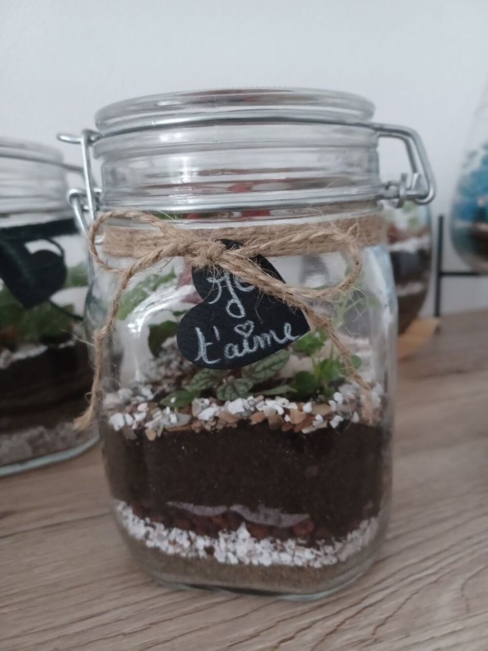 Id&eacute;es cadeaux Terrariums Plantes Décoration