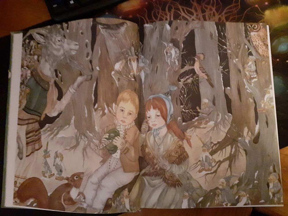 2 Livres de conte D'ANDERSEN belles illustrations Livres et BD