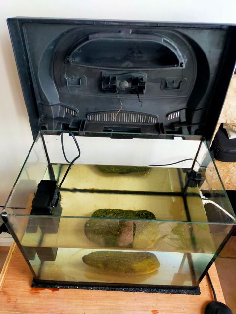 aquarium 30 litres 5 85200 Fontenay-le-comte