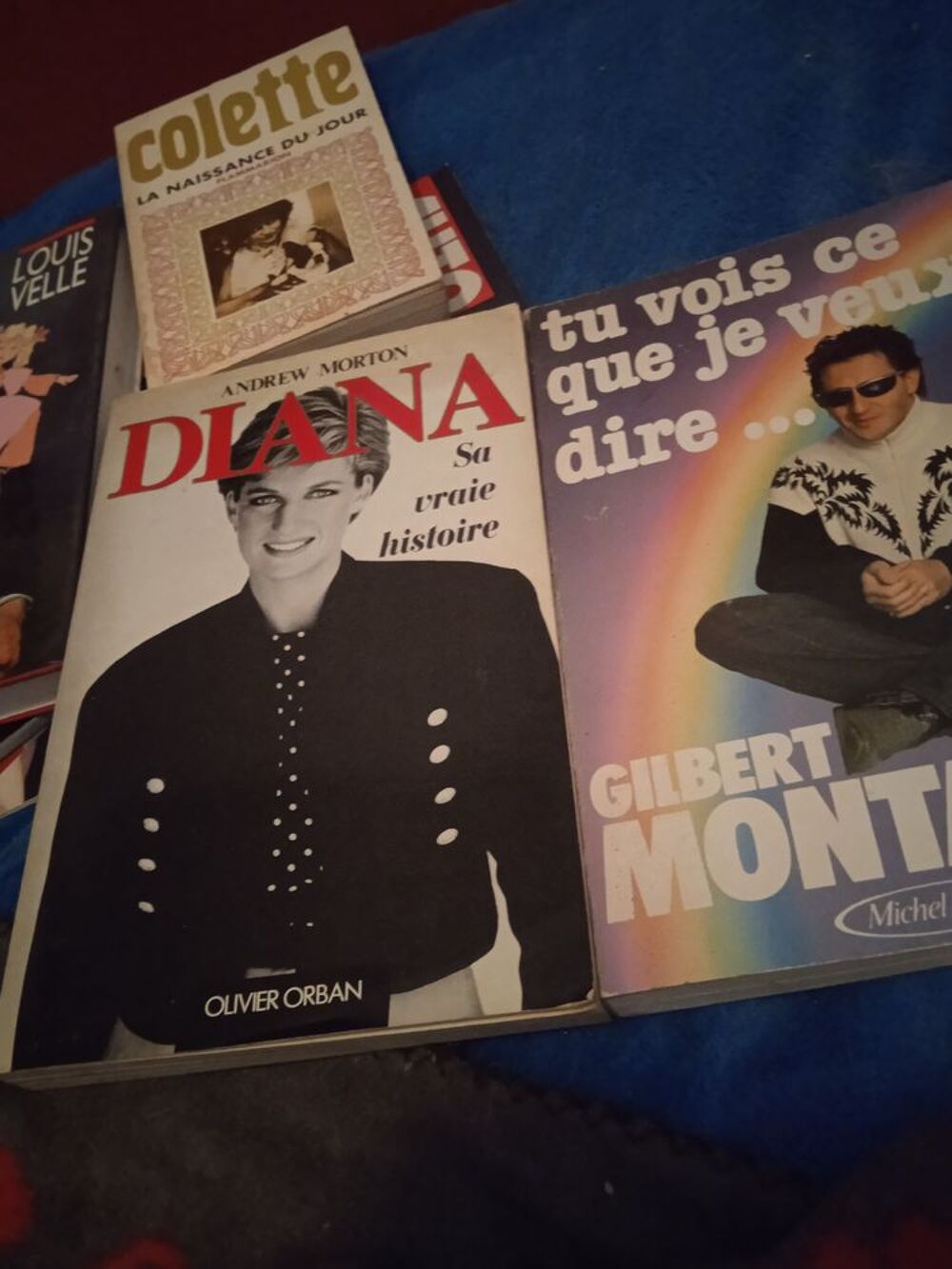 Livres tr&egrave;s bon &eacute;tat .hommage a DIANA 5euro.gilbert montagne Livres et BD