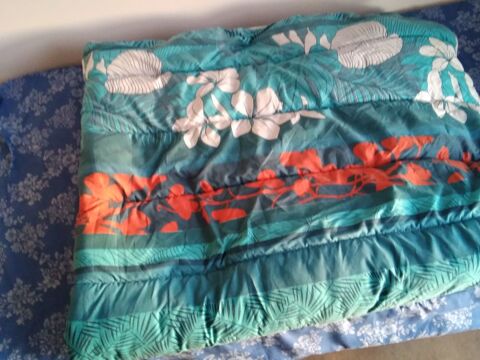 Couette 20 Aureilhan (65)