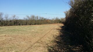  Terrain  vendre 3000 m