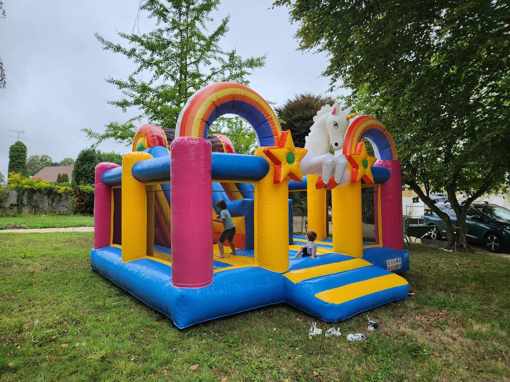 Ch&acirc;teau gonflable licorne professionnel avec toboggan - JB I Jeux / jouets