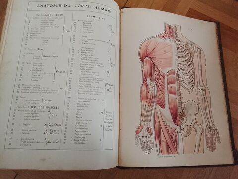 Larousse m�dical illustr� �d 1925 15 Brest (29)