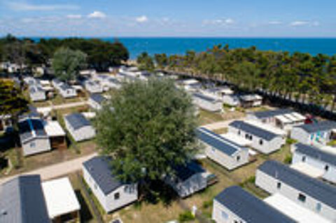  2025 occasion 56170 Quiberon