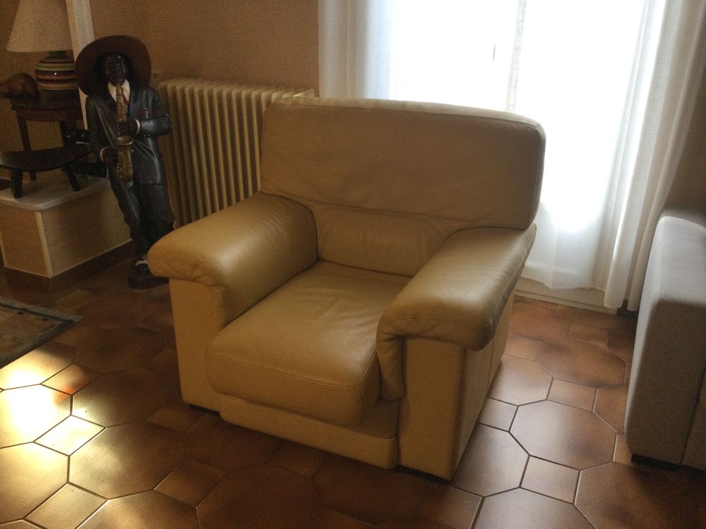 Fauteuil cuir Meubles